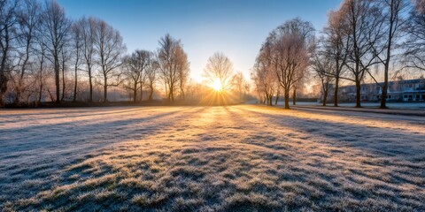 Winter sunrise glowing over frosted field and bare trees
