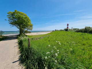 Lighthouse standing tall on green coastline under blue sky