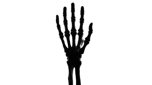 Black Skeleton Hand Reaching Upwards Against White Background, Minimalist Horror Concept
