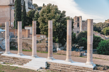 Naklejka premium Panoramic View Of The Roman Forum. Ancient ruins, stone columns, historic landmarks bathed in warm sunlight.