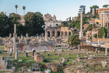 Naklejka premium Panoramic View Of The Roman Forum. Ancient ruins, stone columns, historic landmarks bathed in warm sunlight.