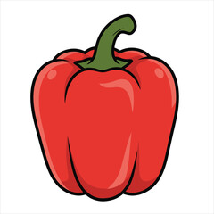 Bell pepper illustration vector art