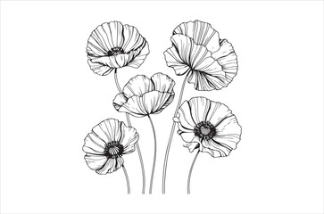 A delicate black and white illustration of several blooming poppy flowers