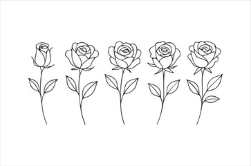 Five blooming roses depicted in a simple elegant line drawing style