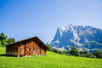 Obraz premium Swiss Wetterhorn Mountain and Rustic Barn in Summer