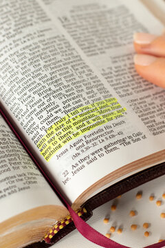 Holy bible book with mustard seeds. Close-up. Faith in God Jesus Christ, biblical concept.