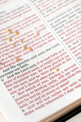 Obraz premium Mustard seeds on holy bible book. Close-up. Christian biblical concept of trust and faith in God Jesus Christ.