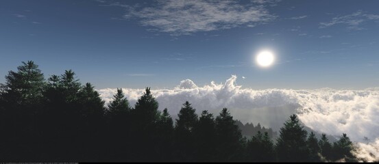 Pine trees and clouds below against a sunny sky, fir trees with clouds, fir tree silhouettes, 3D rendering