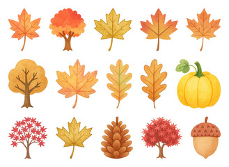 Fototapeta premium PNG Autumn leaves pumpkin acorn illustration, element set on transparent background