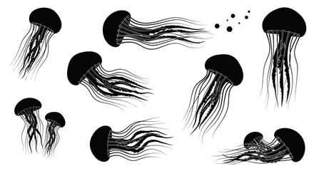 Collection of black jellyfish silhouettes in various poses. © MOCHRABBUL