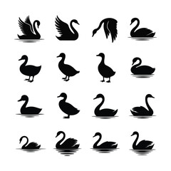 Fototapeta premium Elegant silhouette vector icon set showcasing various swans and ducks, perfect for nature themed designs, wildlife illustrations, lake scenery concepts and decorative environmental graphic projects.