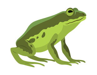 Obraz premium Frog jumping animation icon. Sequences or footage for motion design. Cartoon toad jumping, animal movement concept. Frog leap sequence, vector illustration