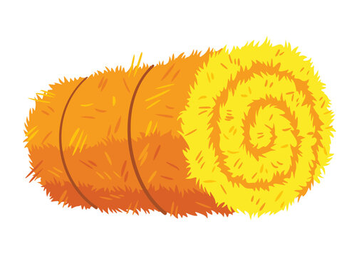Roll of hay. Round hay bales. Dried haystack isolated on white background. Farming haymow bale hayloft vector illustration, haystack, hayrick