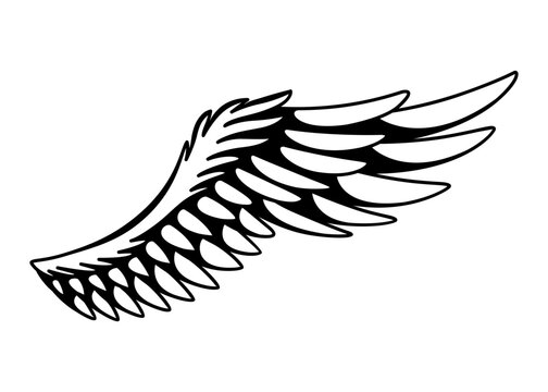 Wings sketch. Stylized birds wings. Hand drawn contoured stiker wing in open position. Vector design elements in coloring style