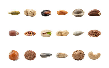 Assorted Nuts and Seeds with Water Droplets on White Background