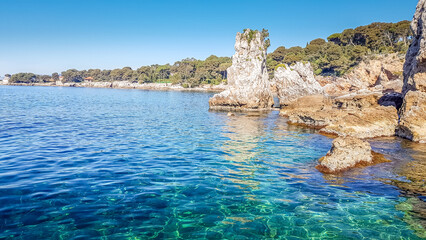 Landscape in the Cap d'Antibes, South of France