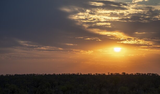 Impressive sunset over the African savanna, silhouette of the horizon with trees in front of the sun, at Halali waterhole, Etosha National Park, Namibia