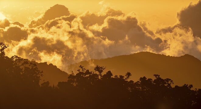 Evening mood, clouds over cloud forest, mountain rainforest, Parque Nacional Los Quetzales, Costa Rica