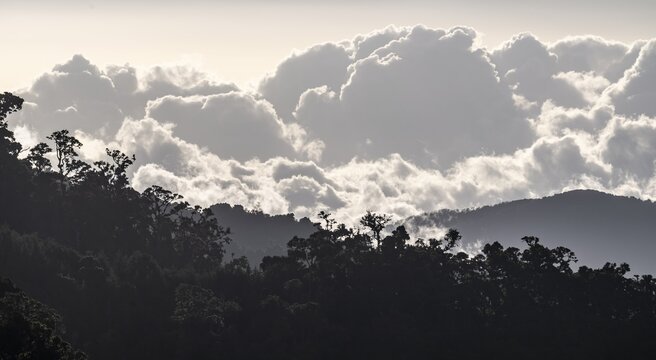 Clouds over cloud forest, mountain rainforest, Parque Nacional Los Quetzales, Costa Rica