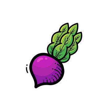Vibrant purple radish with green leaves in a vintage engraving style, isolated on a white background, perfect for culinary designs.