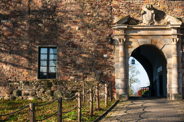 Obraz premium Entrance to Zamek (Сastle). Portal. Toszek, Poland.