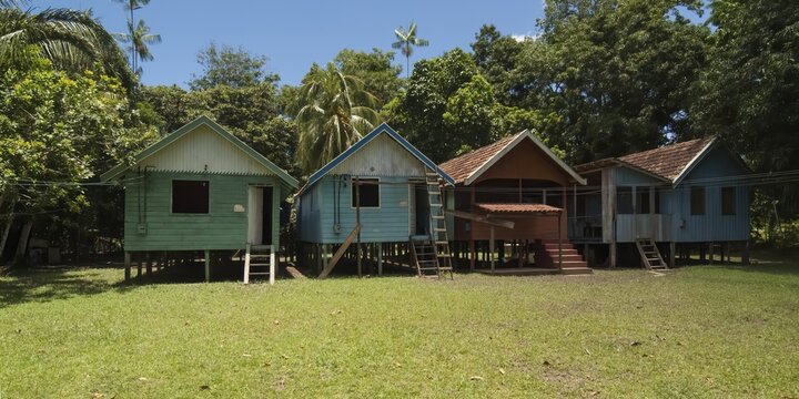 Traditional houses of a caboclos tribe along the (Amazona) river, Amazon state, Brazil
