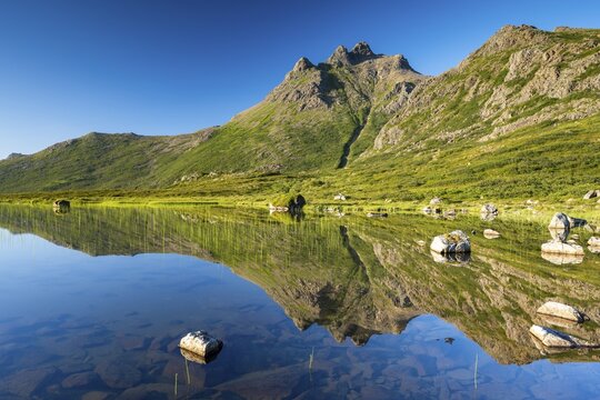 Mount Trehyrna reflected in lake, Nykv&aring;g, Lang&oslash;ya Island, Vester&aring;len Archipelago, Norway