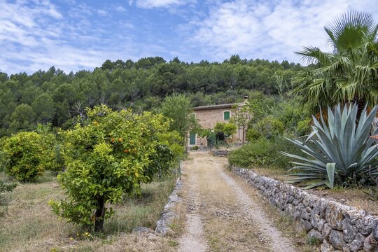 Small finca between orange trees, hiking trail from Soller to Fornalutx, Serra de Tramuntana, Majorca, Balearic Islands, Spain