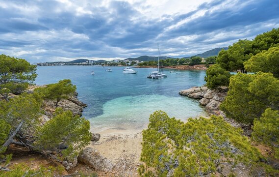 Small bay with sandy beach and blue sea, sailing yachts in the bay, Cala Punta Negra, Badia de Palma, Majorca, Balearic Islands, Spain