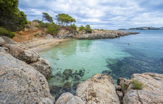 Small bay with sandy beach and blue sea, Cala Punta Negra, Badia de Palma, Majorca, Balearic Islands, Spain