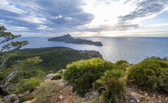 View of mountains and coast with sea, in the evening light, hiking to La Trapa from Sant Elm, at the back island Sa Dragonera, Serra de Tramuntana, Majorca, Spain