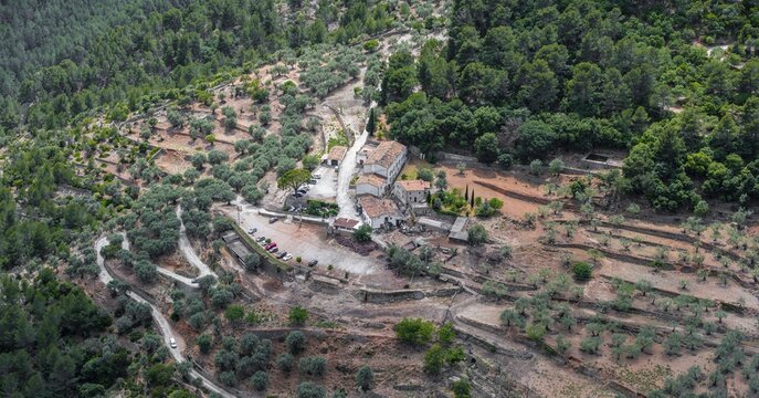 Lonely farm, olive plantation, Majorca, Spain