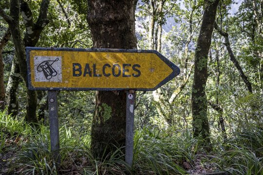 Shield, Miradouro dos Balc&otilde;es, Madeira, Portugal