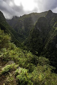 View of forested cloud-covered mountains and ravines, Levada do Caldeir&atilde;o Verde, Parque Florestal das Queimadas, Madeira, Portugal