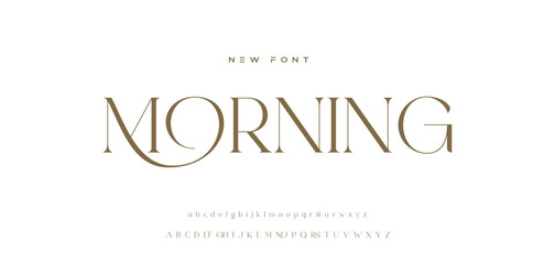 Elegant alphabet beauty logo font. Classic Modern luxury Serif Minimal Fashion. Typography decoration logotype fonts, wedding, logos. vector illustration