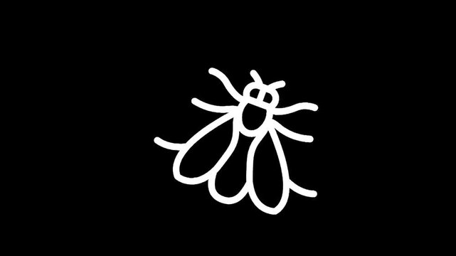 Simple white line drawing of a fly on a black background
