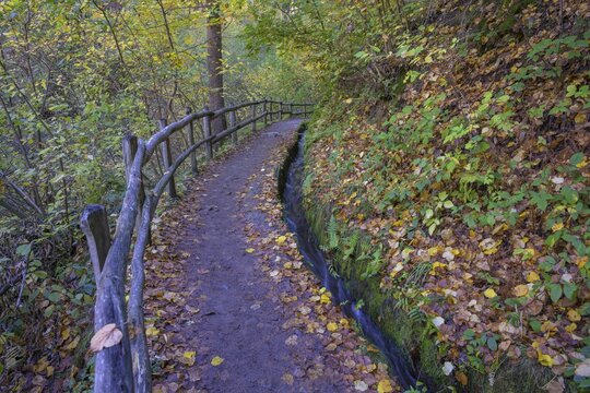 Schenner Waalweg, Schenna, South Tyrol, Italy