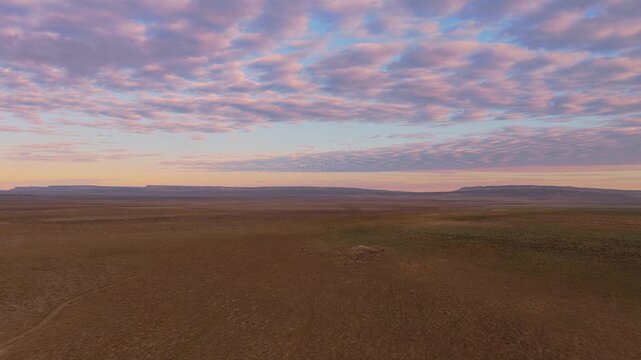 Aerial view of a sweeping landscape under a pastel sky, with a blend of earthy tones and soft hues creating a serene scene, Shetpe, Mangystau Region, Kazakhstan.