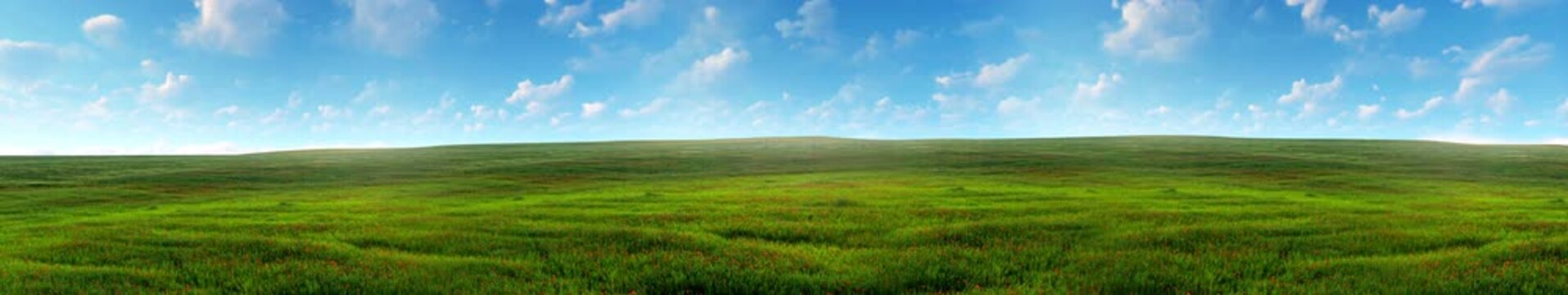 Lush green field under open sky, creating a fresh and natural landscape | widescreen | looped animation