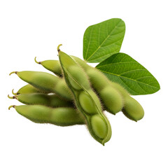 Pile of Green Soybean Pods with Leaves edamame beans isolated on Transparent Background
