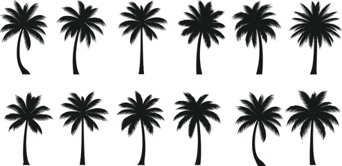 Fototapeta premium Set of black silhouette palm trees with varied trunk shapes and leafy crowns on white background tropical