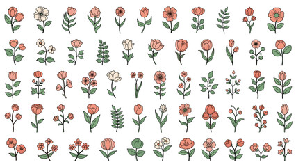 Diverse collection of fifty unique hand-drawn floral illustrations featuring various types of flowers and leaves in soft pink and green.