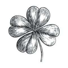 Four-leaf clover hand drawn sketch style illustration representing good luck, fortune, and the spirit of St. Patrick's Day with a vintage engraved aesthetic.