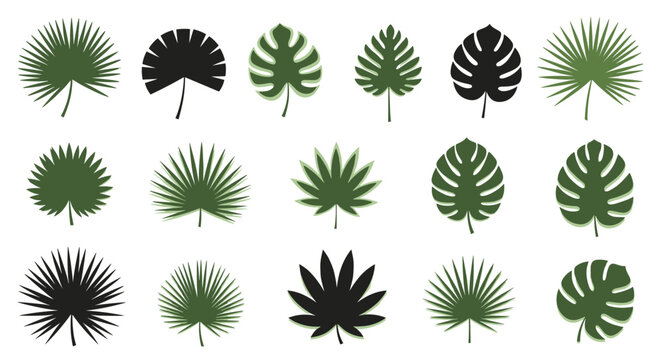 Tropical leaf silhouettes collection featuring various types of palm and monstera leaves in green and black colors for decor.