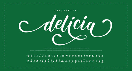 Signature Elegant Branding Typeface. Handwritten Script Editable Text Effect Template . vector illustration   © chat