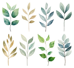 Fototapeta premium PNG Watercolor botanical leaves element set on transparent background