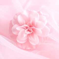 Obraz premium Pink Flower Decoration Closeup.