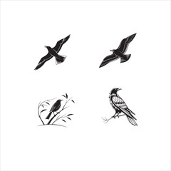 A wildlife design set featuring black silhouettes of birds in flight, including eagles and doves, illustrated as vector icons with spreading wings on a white background