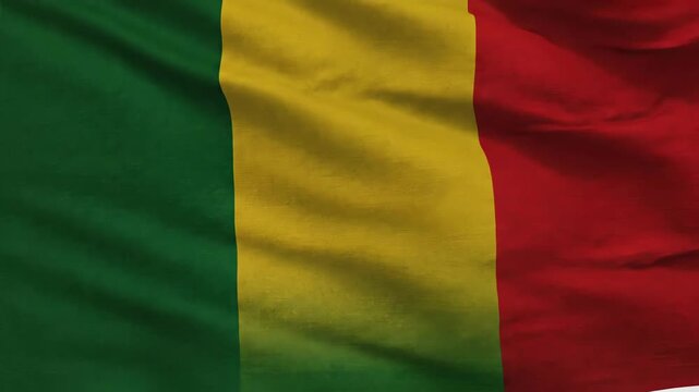Mali Flag Waving Gently in the Wind with Detailed Fabric Texture