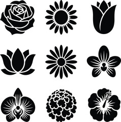 Nine black and white flower in various styles rose